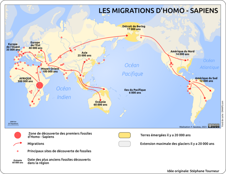 Homo-Sapiens | L'atelier Carto D'HG Sempai