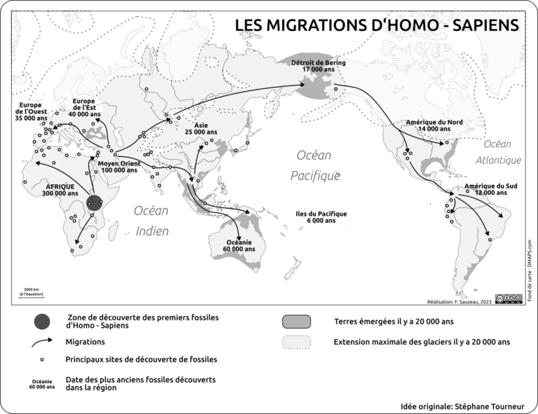 Les Migrations D’Homo-Sapiens | L'atelier Carto D'HG Sempai